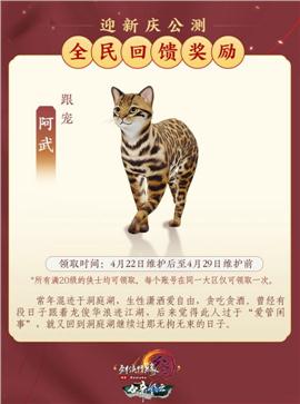 天龙八部古界私服
